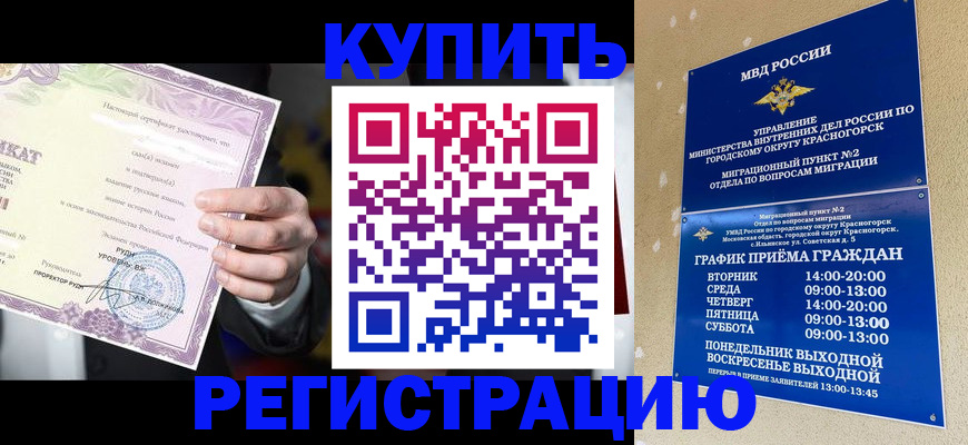 временная регистрация собственник в Михайловске